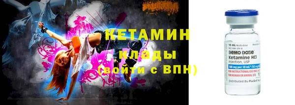 трава Новозыбков