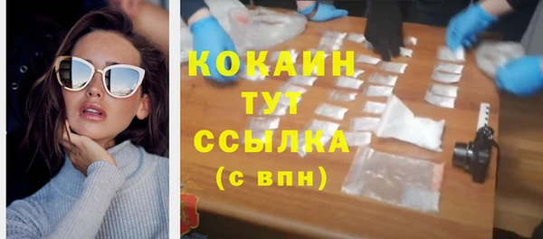 трава Новозыбков