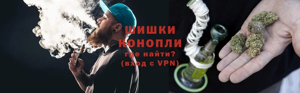 трава Новозыбков