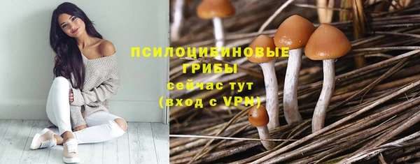 трава Новозыбков