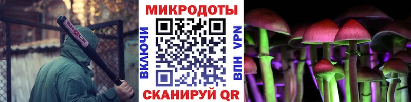 Псилоцибиновые грибы ЛСД наркотики Сураж